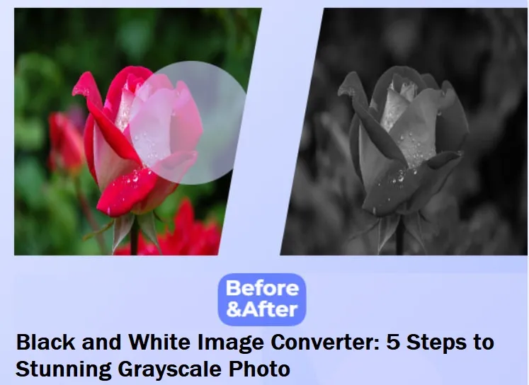 Black and White Image Converter 5 Steps to Stunning Grayscale Photos